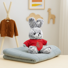 Load image into Gallery viewer, Merry Christmas Rabbit - red